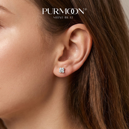 Clovera Studs